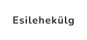 Esilehekülg